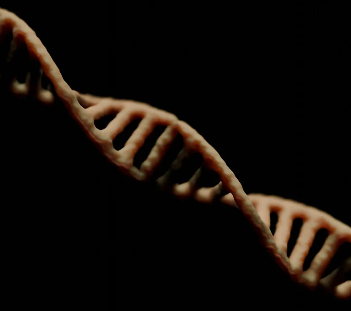 A depiction of a strand of DNA.