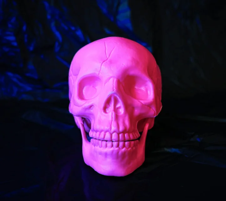 A realistically sculpted, hot pink skull against a dark backdrop.